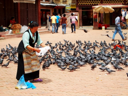 The old woman was feeding the pigeons in Kathmandu, Nepalのeditorial素材