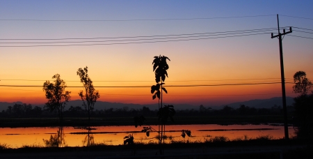 Fields  view at chiang rai In the evening の写真素材