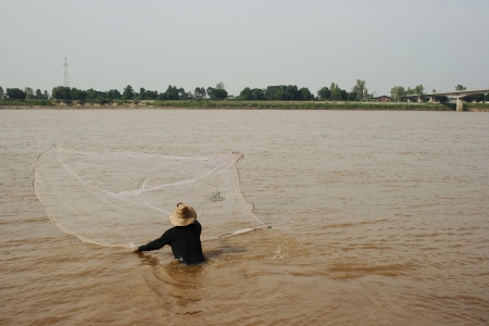 Toss, fishing equipment, fish, aquatic life, fishing, life, morning, river の写真素材
