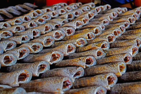 Dried Fishの写真素材