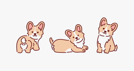 Hand drawn kawaii playful cute Corgi and Shiba Inu dogs in various poses. Vector illustrationのイラスト素材