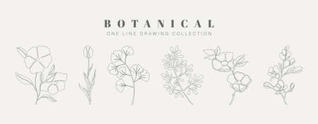 Botanical arts. Hand drawn continuous line drawing of abstract flower, floral, rose, tropical leaves, spring and autumn leaf, bouquet. Vector illustration.のイラスト素材