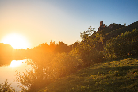 beautiful bright sunset on forest riverの写真素材