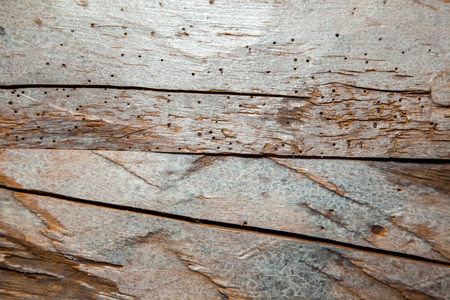 abstract brown natural wooden texture .