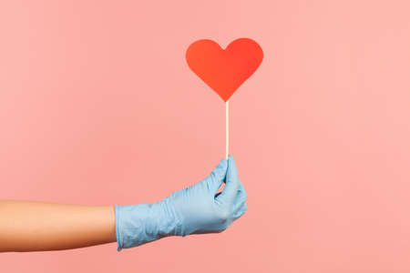 Profile side view closeup of human hand in blue surgical gloves holding small red heart stick in...