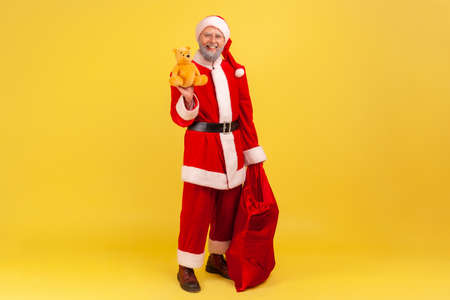 Full length of elderly man with gray beard wearing santa claus costume holding red big bag with present, giving cute bear as a present, Indoor studio shot isolated on yellow background.の写真素材