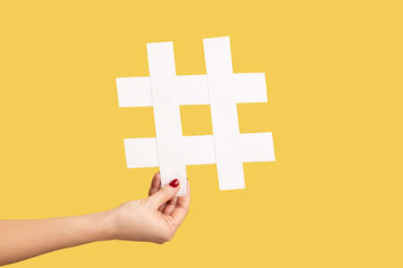 Closeup of woman hand holding large white paper hashtag symbol, hash sign of famous media content, social media marketing and blog promotion. Indoor studio shot isolated on yellow background.の写真素材