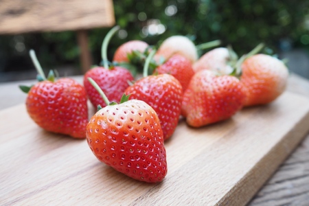 strawberryの写真素材