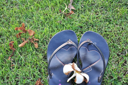 Shoes on the grassの写真素材