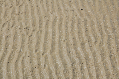 Sands and seaの写真素材