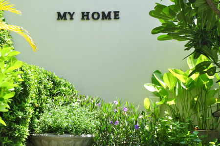 The garden in my homeの写真素材