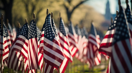 American flags in a cemetery in Washington DC, USA. Selective focus.の素材
