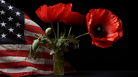 An American flag and poppy flower on a dark background. Remembrance day poppy Red poppiesの素材