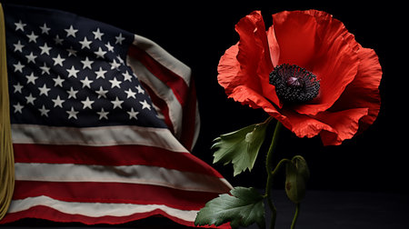 American flag and poppy flower on black background. 3d rendering.の素材