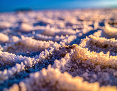 A detailed close-up shot of sparkling white salt crystals covering a vast desert salt flat, illuminated by the warm, golden light of a setting sun. The intricate textures and patterns of the salt are highlighted, creating a serene and abstract natural landscape.の素材