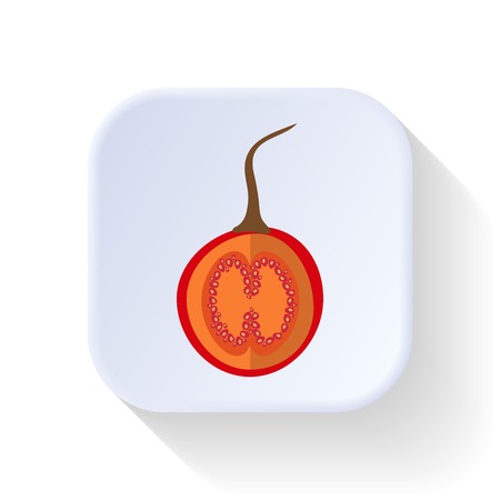 Tamarillo fruit graphic illustration design artのイラスト素材