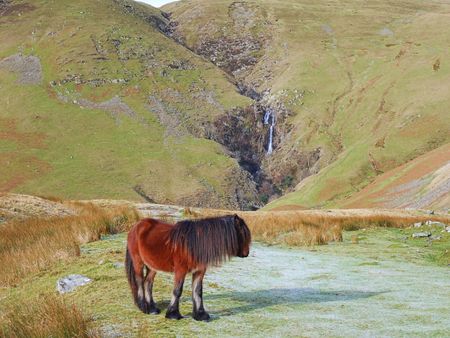 Howgill pony and Cautley Spoutの写真素材