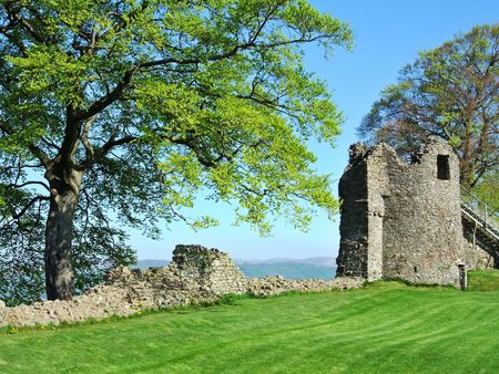 Remains of Kendal castle and treeの写真素材