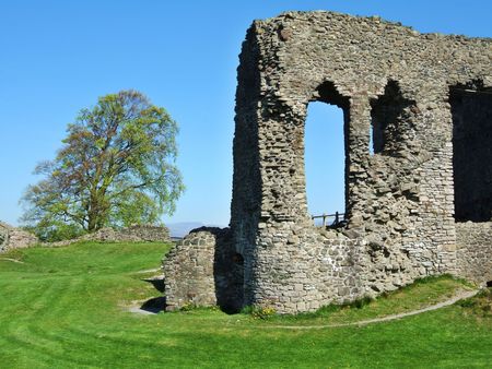 Remains of Kendal castle and treeの写真素材