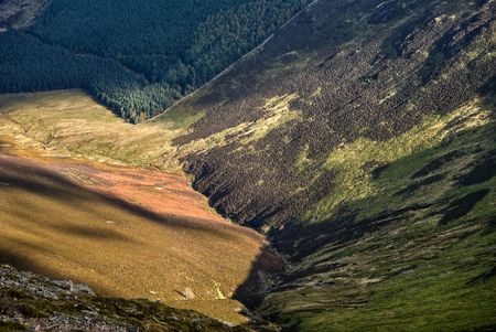A Mountain valley on the side of Grizedale Pike in the English Lake District, showing differing types of vegetation in dappled sunlightの写真素材