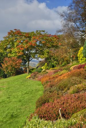 An English garden in rich Autumn coloursの写真素材