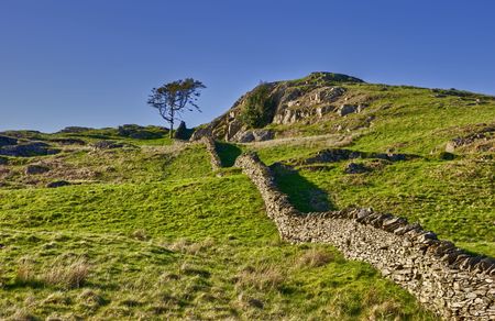 Scenic view of dry stone wall in countryside, Lake District National Park, Cumbria, England.の写真素材