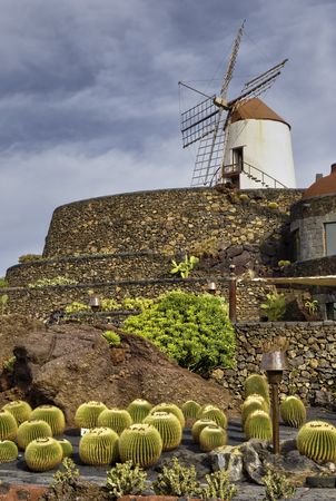 Scenic view of Cactus garden and windmill, Jardin de Cactus, Guatiza, Lanzarote, Canary Islands, Spain.の写真素材