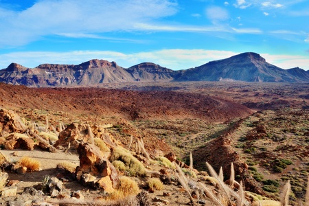 Teide National Park, Tenerife, Spanish Canary Islands, this volcanic park is a natural monument の写真素材