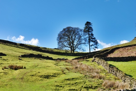 Lush stone walled green pastures on the slopes of the hills in Longsleddale, English Lake Districtの写真素材