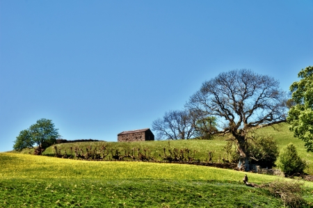 Picruesque traditional English stone barn on the skyline of a lush hill and meadow in the Yorkshire Dales, Englandの写真素材