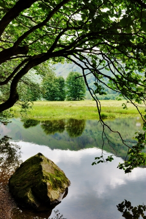 A rock and an overhanging tree on the shore of Brothers Water, in the English lake Districtの写真素材