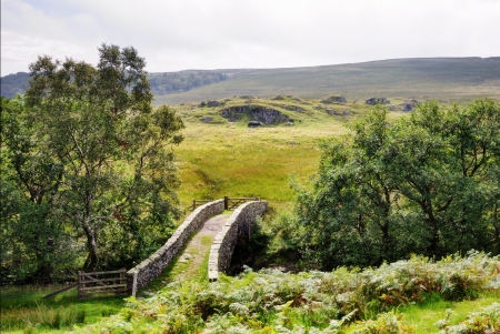 A small packhorse bridge in a moorland setting flanked by treesの写真素材
