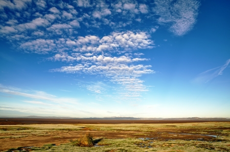 A view of grass covered mud flats and pools in Morecambe Bay, with a blue sky and altocumulus clouds, on a sunny winters day の写真素材