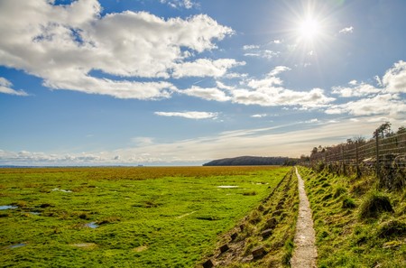Green fields along coastline near Grange-over-sands in Cumbria, England on sunny day.の写真素材