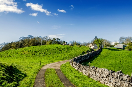 English country lane leading to a farmhouse.の写真素材
