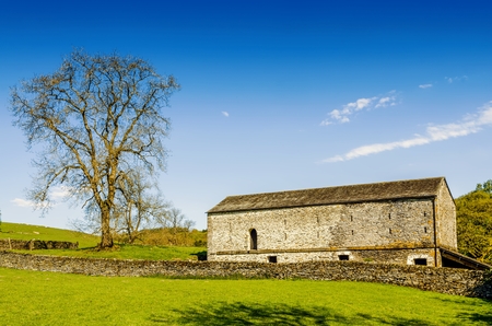 A barn and tree set in English countryside with a green field in the foreground under a blue sky.の写真素材