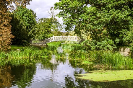 Trellised bridge on a lakeの写真素材