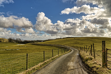 An English country lane leading through farmland.の写真素材