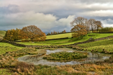 An English Autumn scene with a group of trees by a tarn or pond.