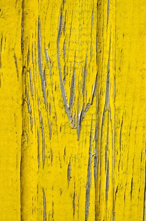 old natural pine wood fence yellowの写真素材