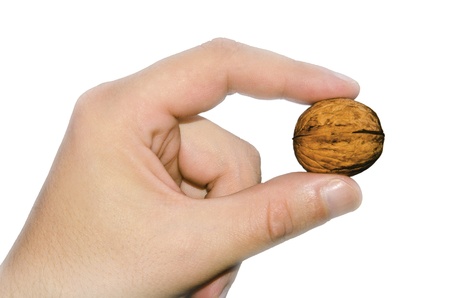 walnut in two fingers of a hand on a white backgroundの写真素材