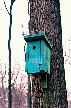 birdhouse in a tree in the forestの写真素材