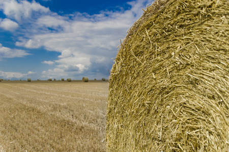 big package on yellow fieldの写真素材