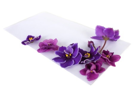 Post envelope of white color with the violets isolated on a white background.