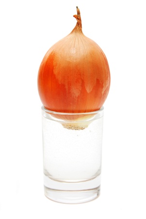 Onion in a glass cup isolated on a white background の写真素材