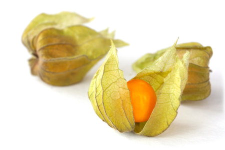 Gooseberry (Physalis) isolated on white backgroundの写真素材