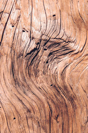 Natural Wooden background. Old cracked wood.