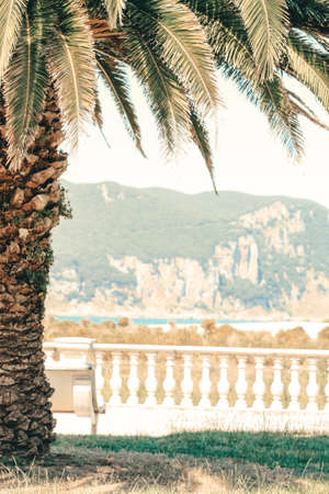 Beautiful landscape of ocean beach in Spain. Palm tree and ocean.の写真素材
