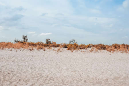 White clouds on blue sky, grass and sand.の写真素材