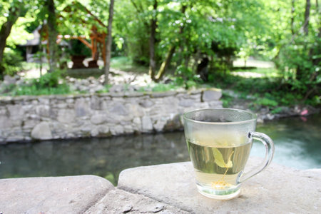 Hot linden tea against the background of nature and the riverの写真素材